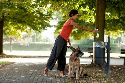 donna con il suo cane pastore tedesco