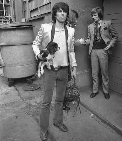 mick jagger