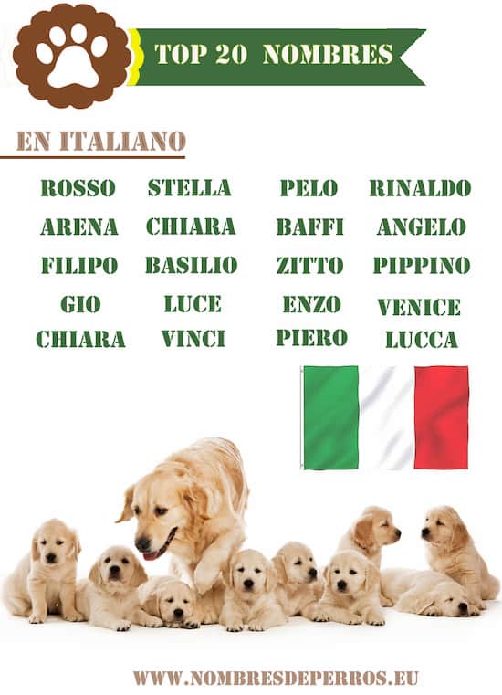 Nomi italiani per cani