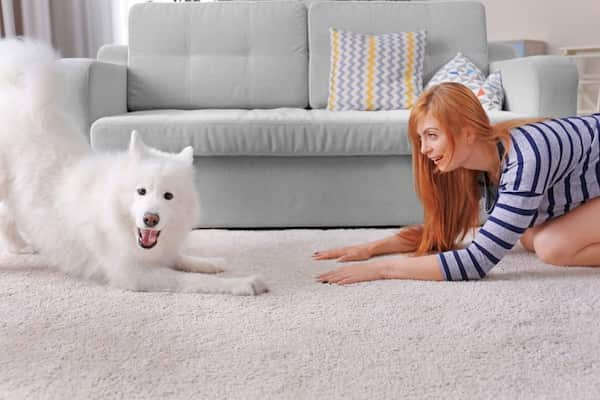 donna-con-il-cane-a-pelo-bianco