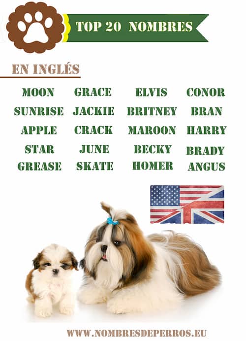 nomi inglesi