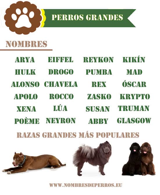 nomi per cani di grossa taglia 