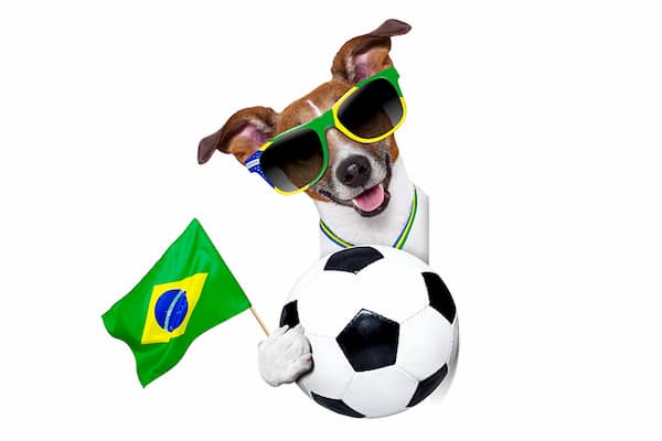 nomes brasileiros para cachorros